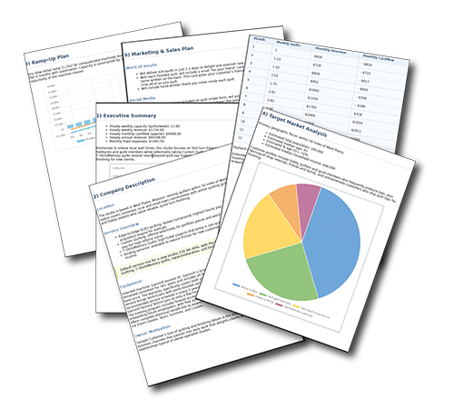 Sample pages from the generated business plan
